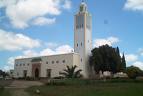 O.C.P  jama3  daylna