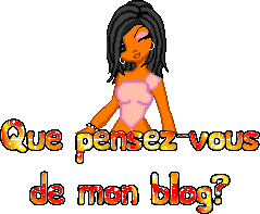 QUE PENSEZ-VOUS DE MON BLOG